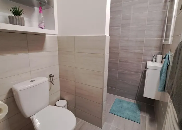 Apartment Berilo Vendeghaz Villany