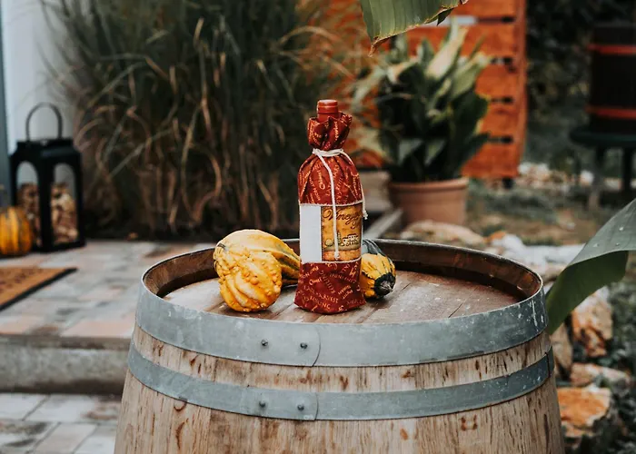 Apartment Berilo Vendeghaz Villany