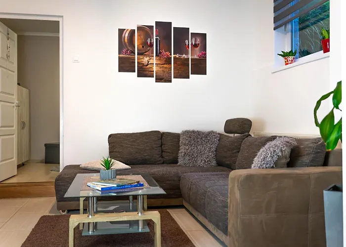 Apartment Berilo Vendeghaz Villany